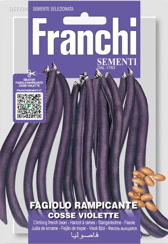 Fasola tyczna Trionfo Violetto FRANCHI sklep rajogrodnika